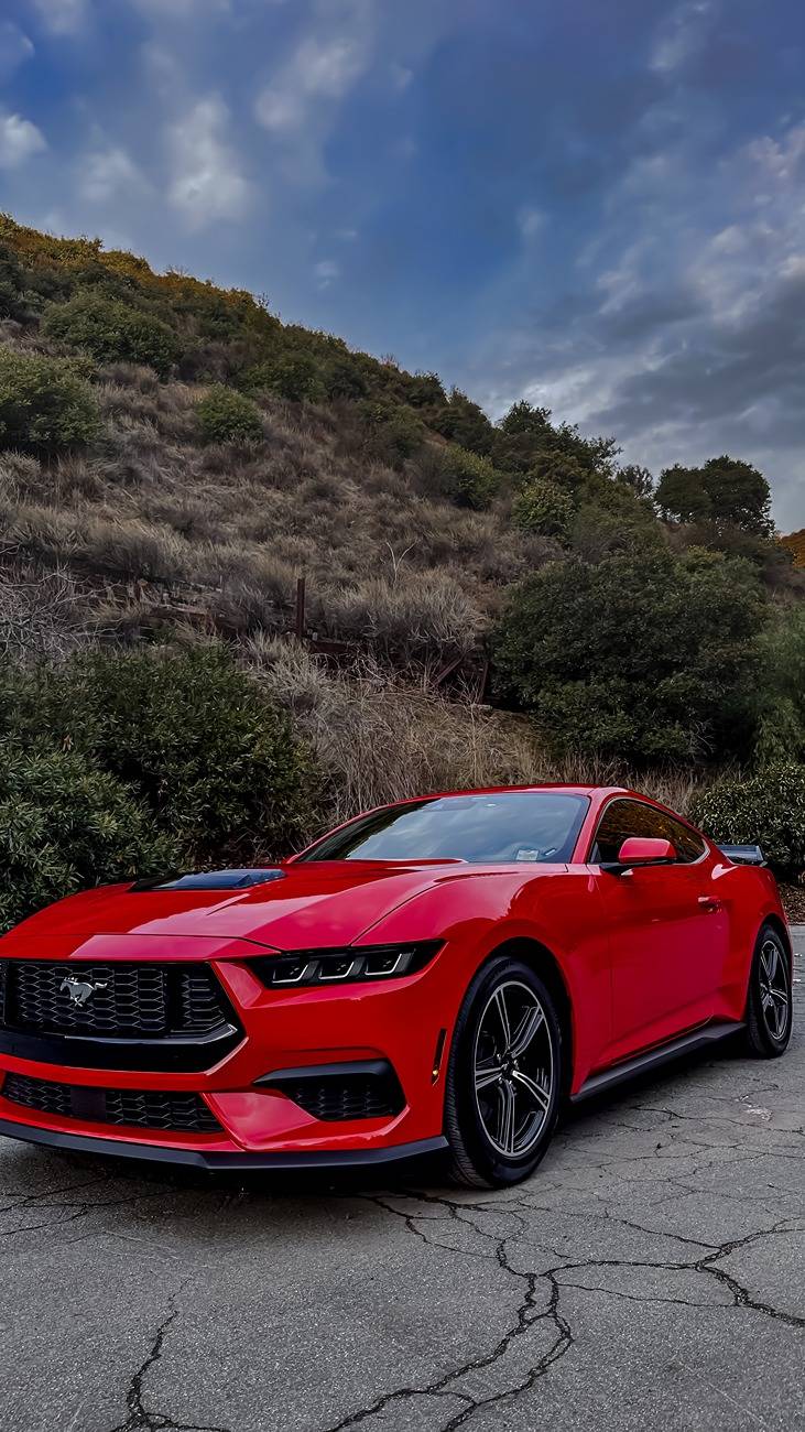 S650 Mustang Photoshoot of my Race Red S650 in Sierra Mountains Mustand moody - 10