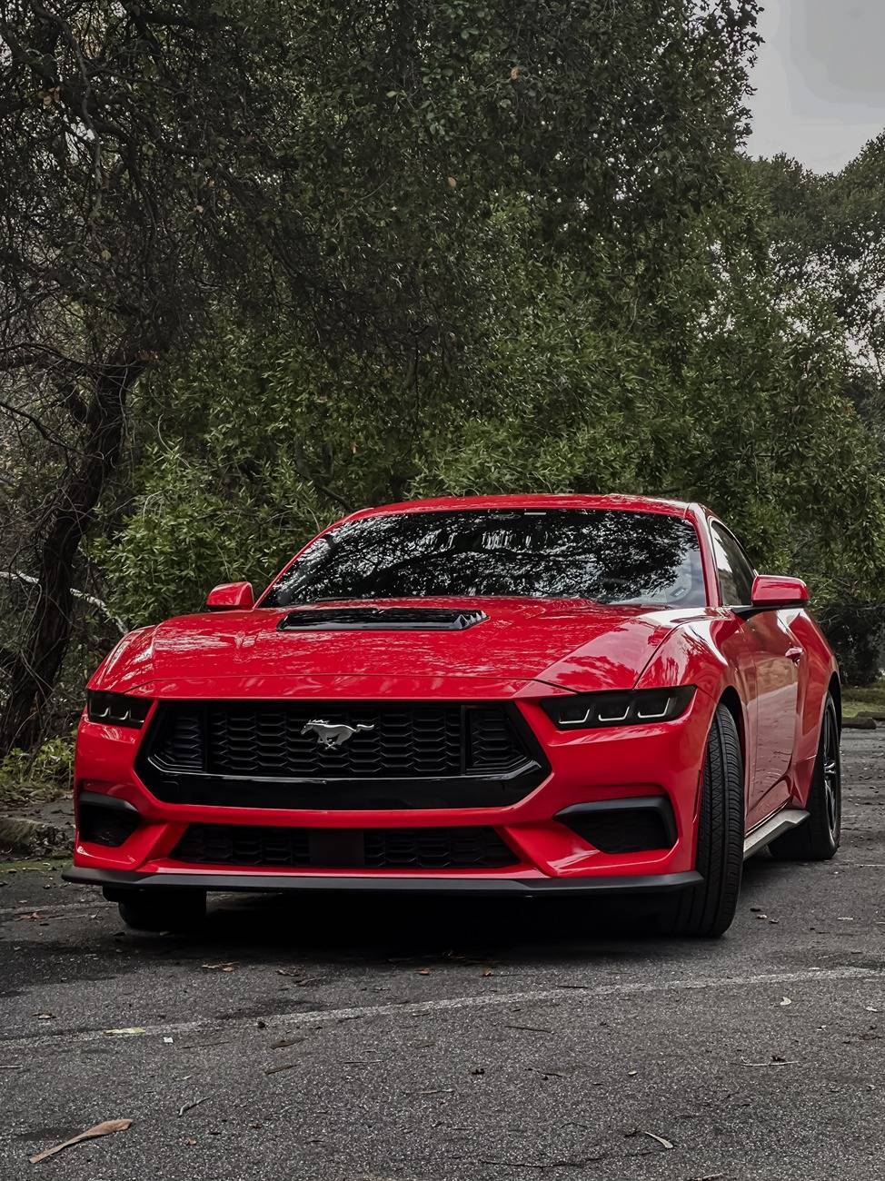 S650 Mustang Photoshoot of my Race Red S650 in Sierra Mountains Mustand moody - 5