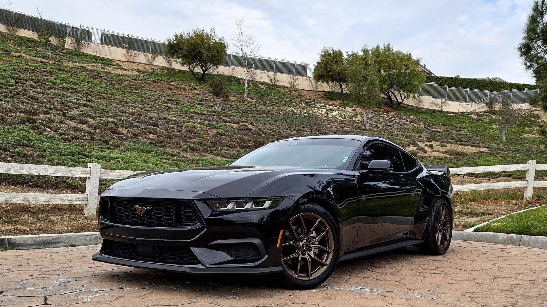 S650 Mustang Viking's Black EcoBeast Build Front3