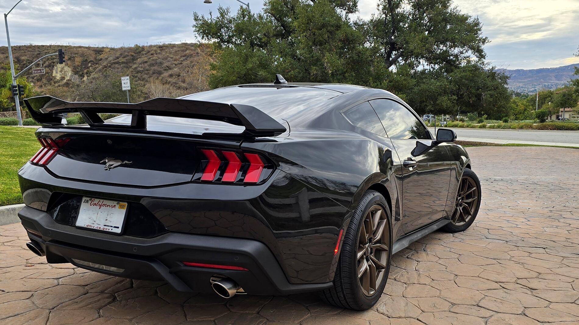 S650 Mustang Viking's Black EcoBeast Build Wide_back_Erase