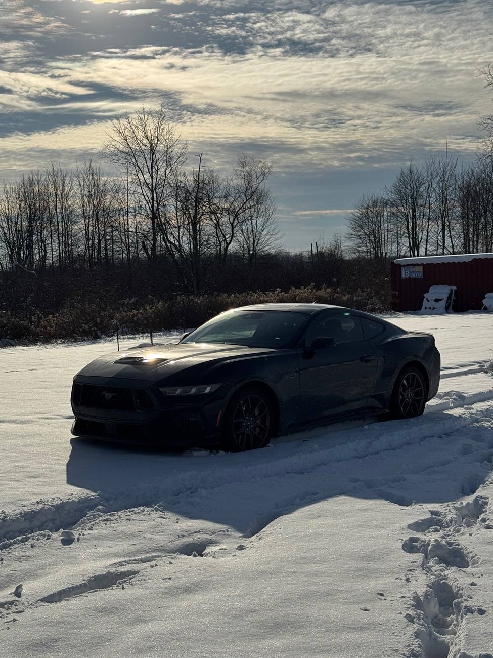 S650 Mustang Do you store your car in winter and why if or not IMG_7230