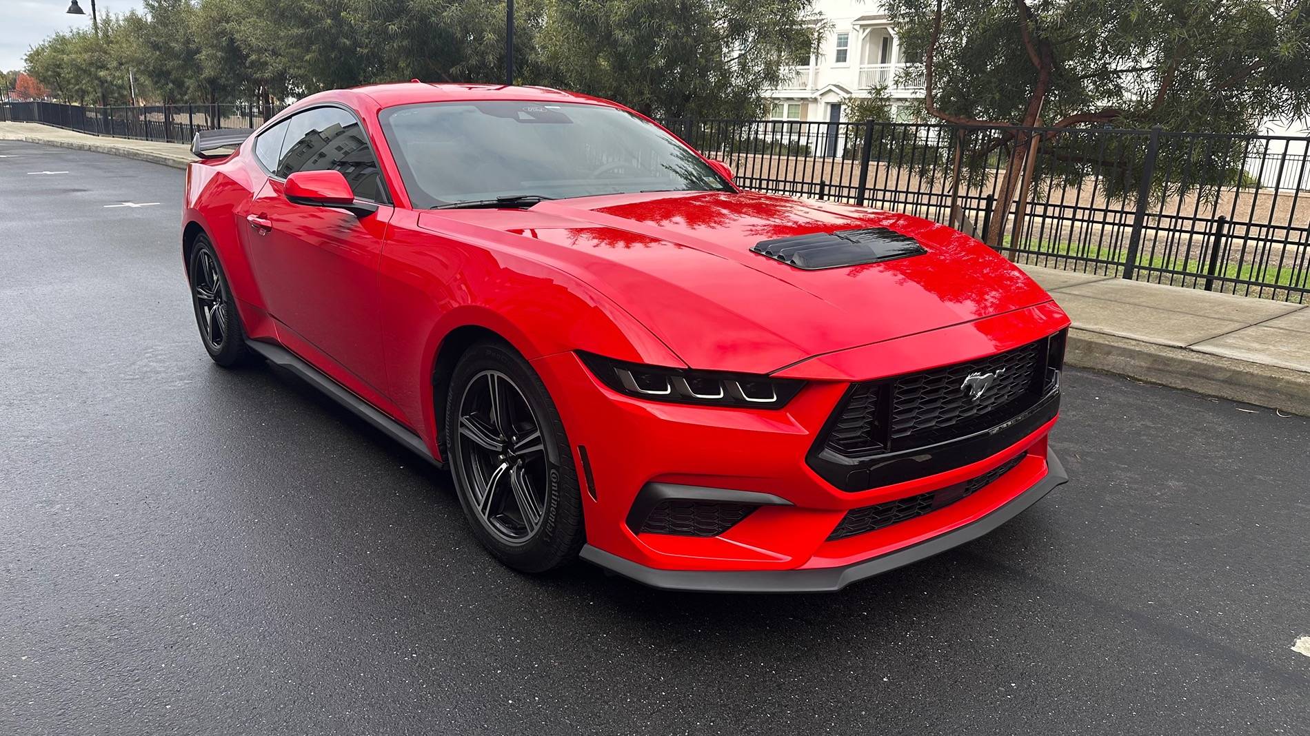 S650 Mustang What did you do to your S650 Mustang today?? 🙋🏻‍♂️ IMG_6905