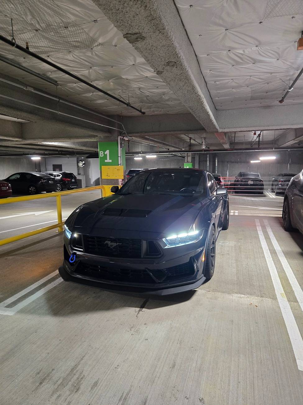 S650 Mustang What did you do to your S650 Mustang today?? 🙋🏻‍♂️ 1000048795