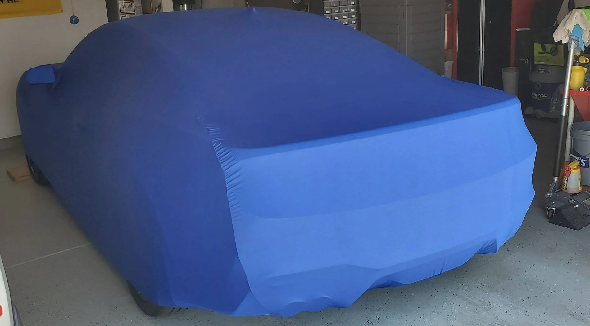 S650 Mustang Mustang S650 Car Cover 20240728_114308~2
