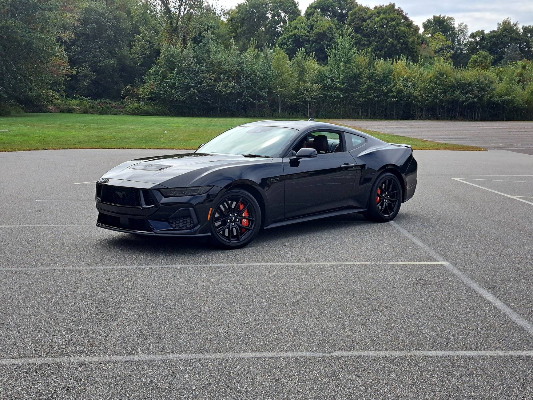 S650 Mustang Nite Pony - If you want it, do not settle.  Wait for it! 20240921_123820