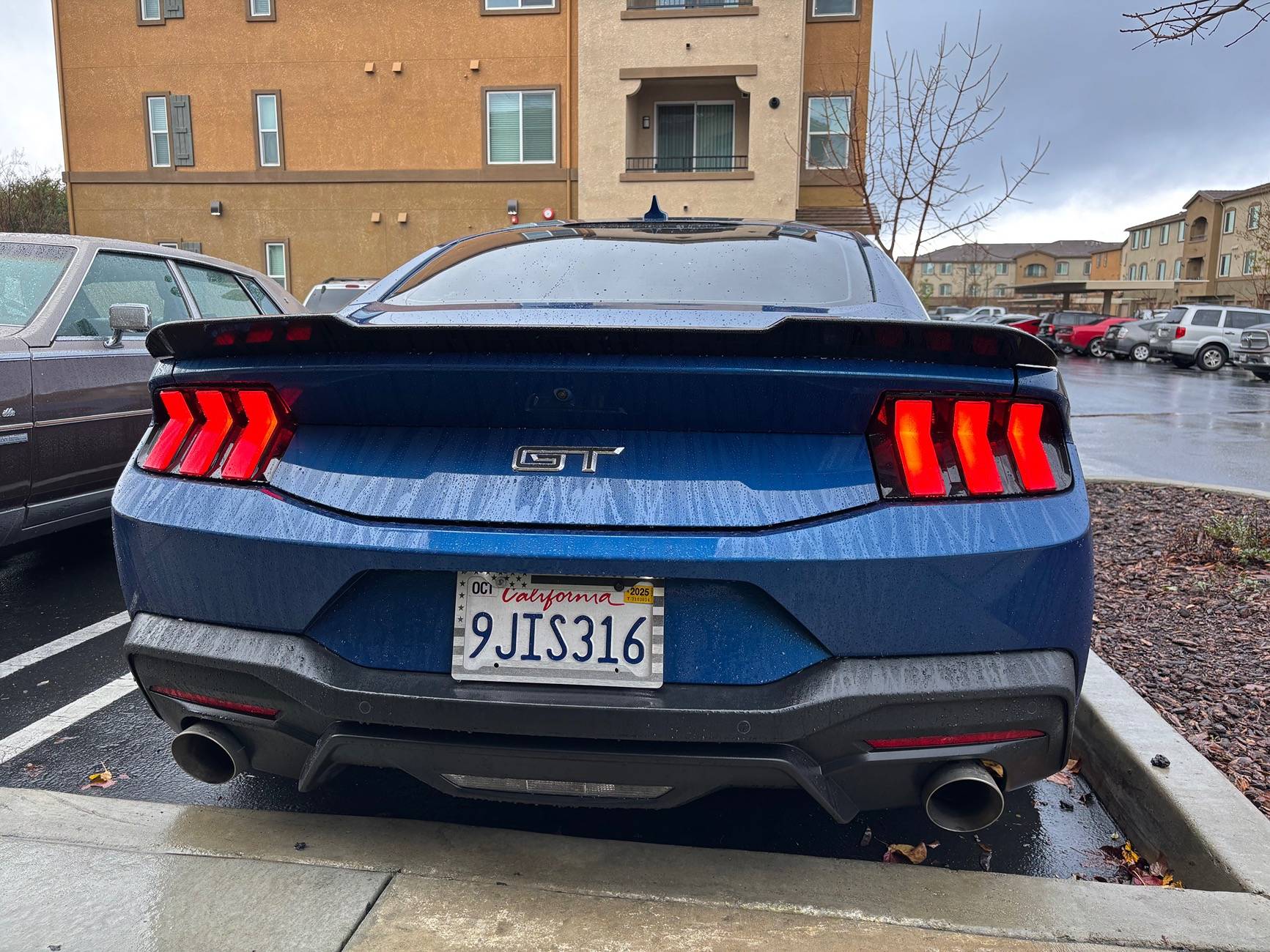 S650 Mustang Blue Lightning IMG_2173