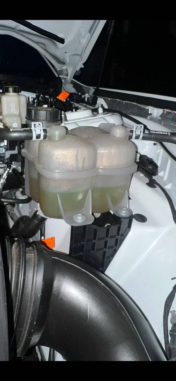 S650 Mustang Your coolant look good? IMG_2614