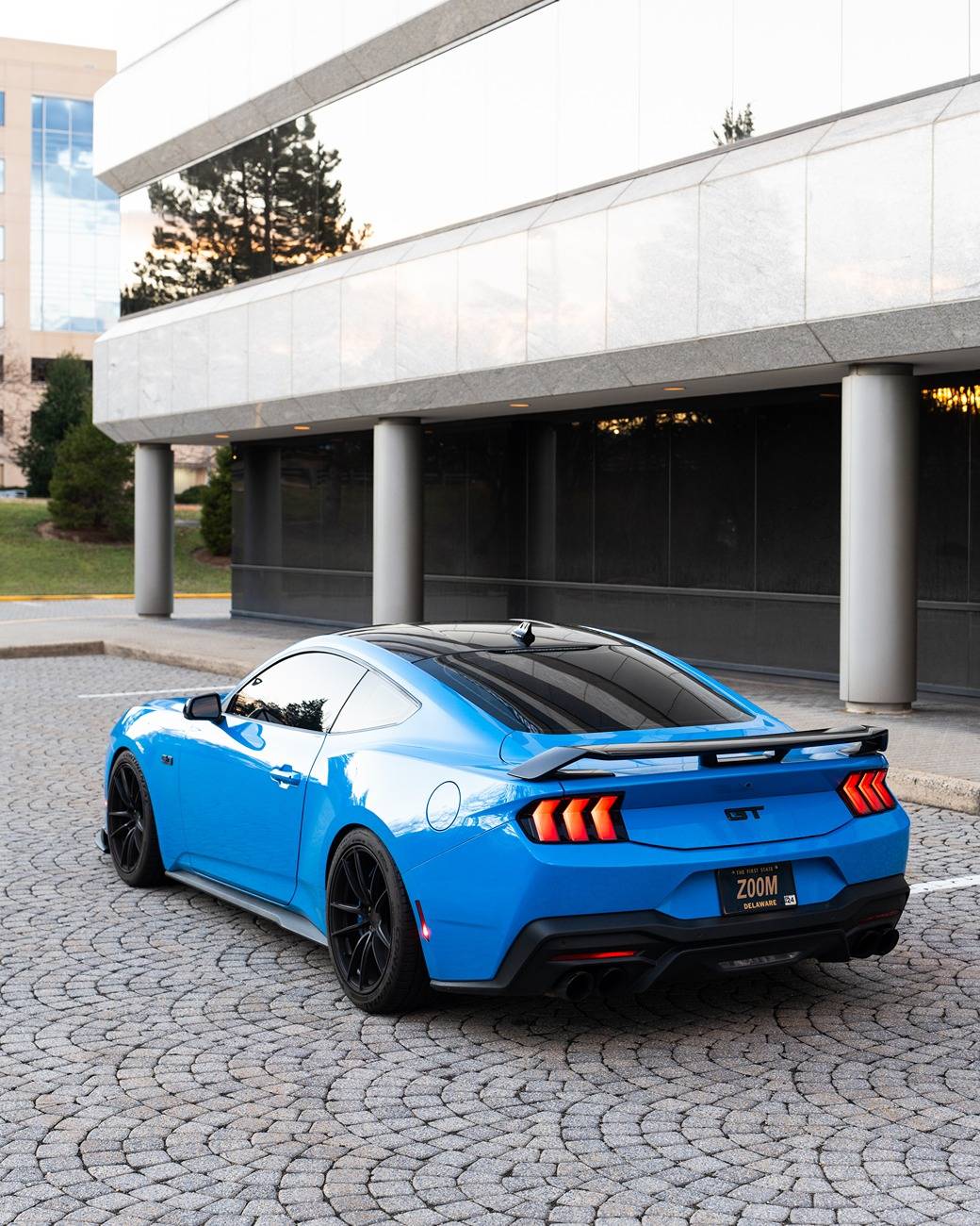 S650 Mustang Official GRABBER BLUE Mustang S650 Thread 250101174458001