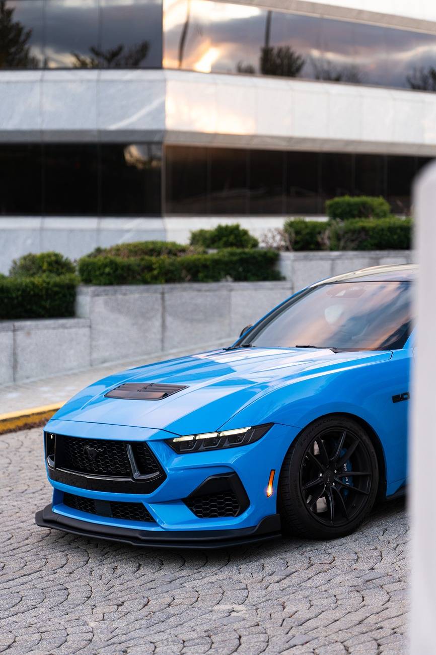 S650 Mustang Official GRABBER BLUE Mustang S650 Thread 250101174858007