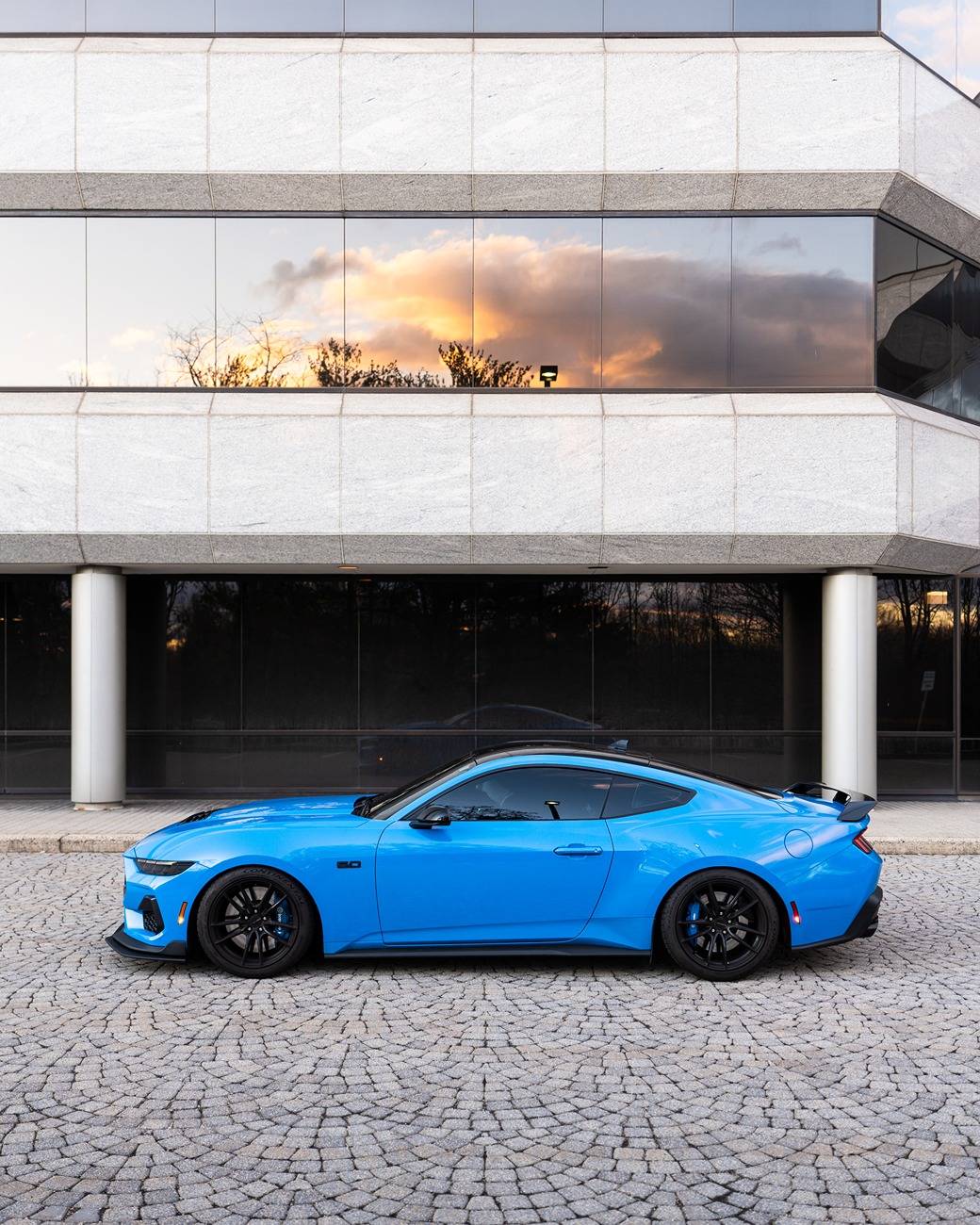 S650 Mustang Official GRABBER BLUE Mustang S650 Thread 250101174218001