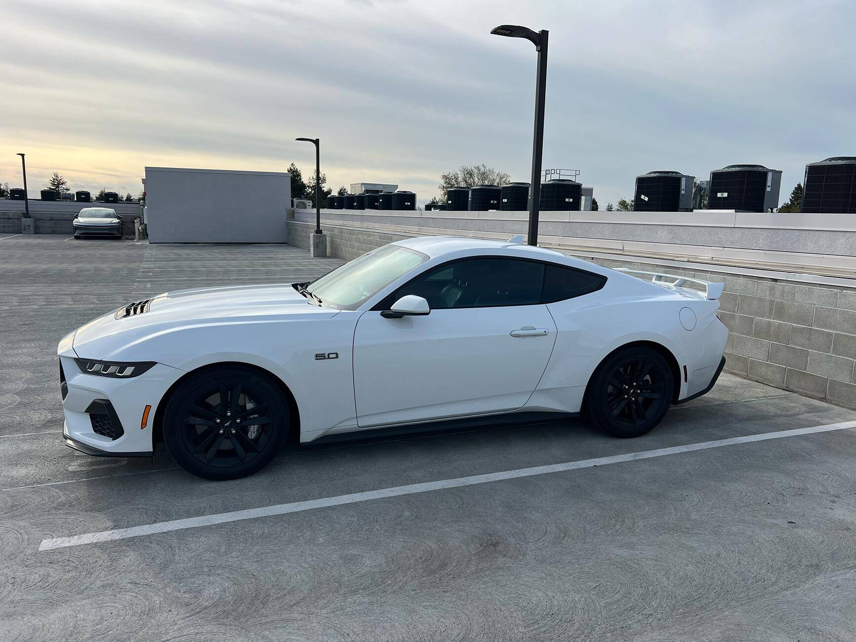S650 Mustang Performance pack rear wing tempImageAzHzNq