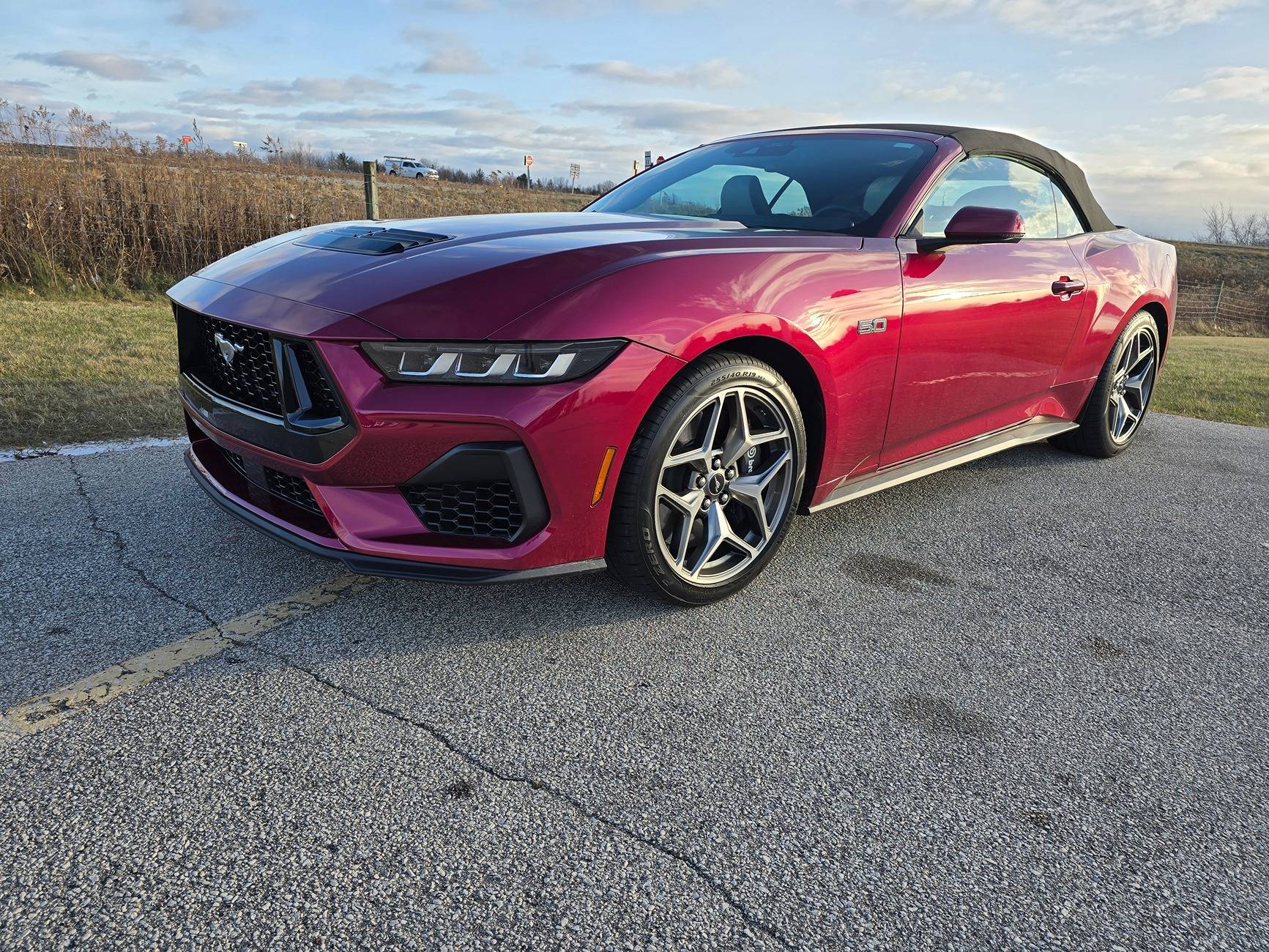 S650 Mustang Any Molten Magenta cars spotted yet? 20241129_144437