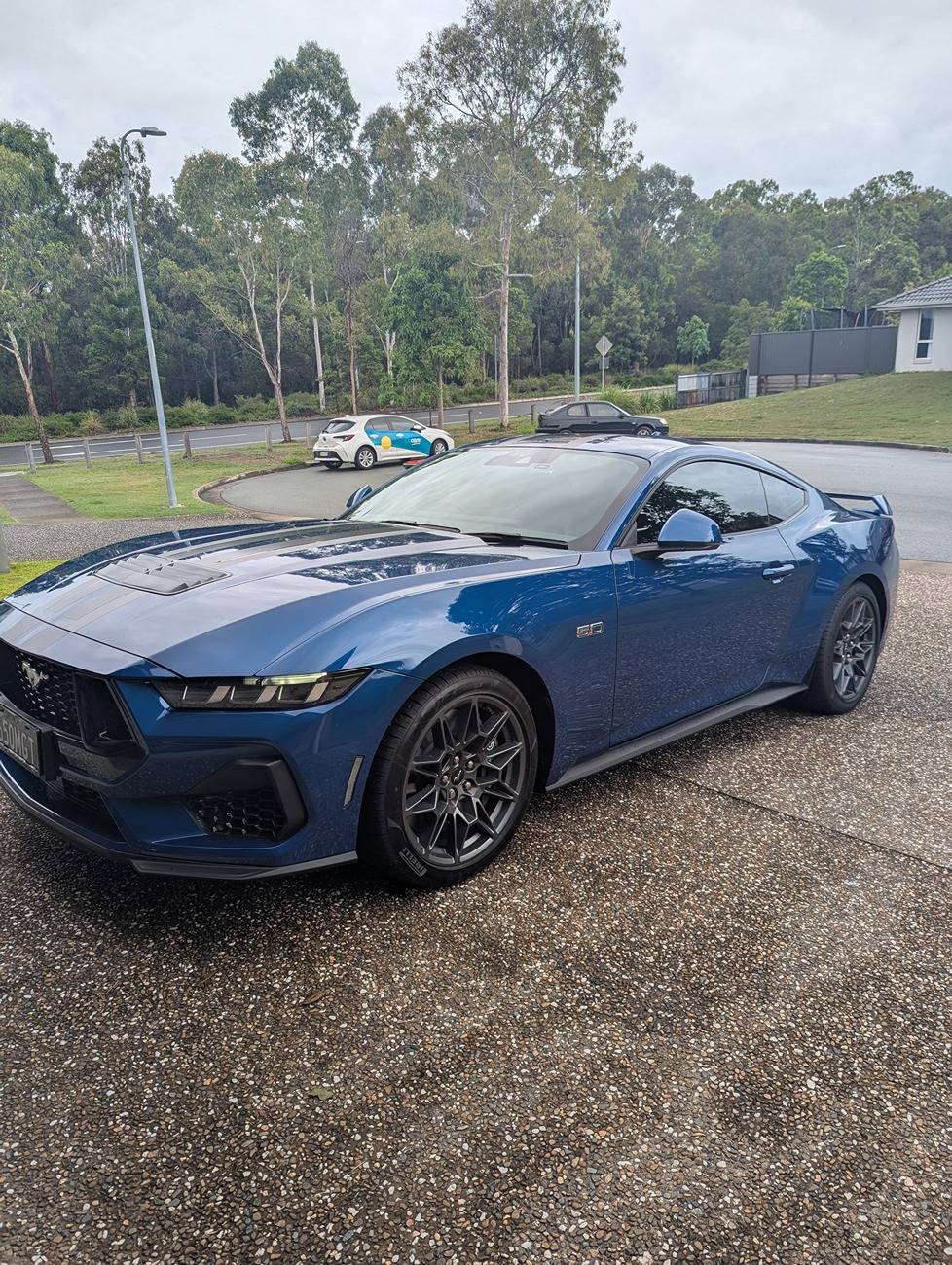S650 Mustang Finally pick up day!! PXL_20250111_064141881.MP