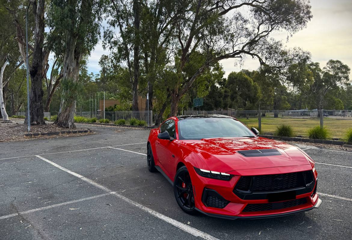 S650 Mustang This Just Got Real! IMG-3749f
