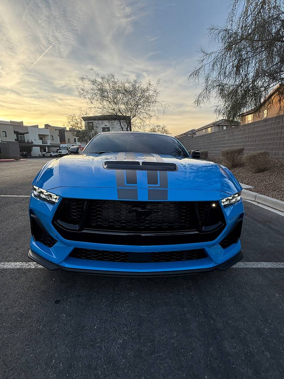 S650 Mustang Official GRABBER BLUE Mustang S650 Thread IMG_0814