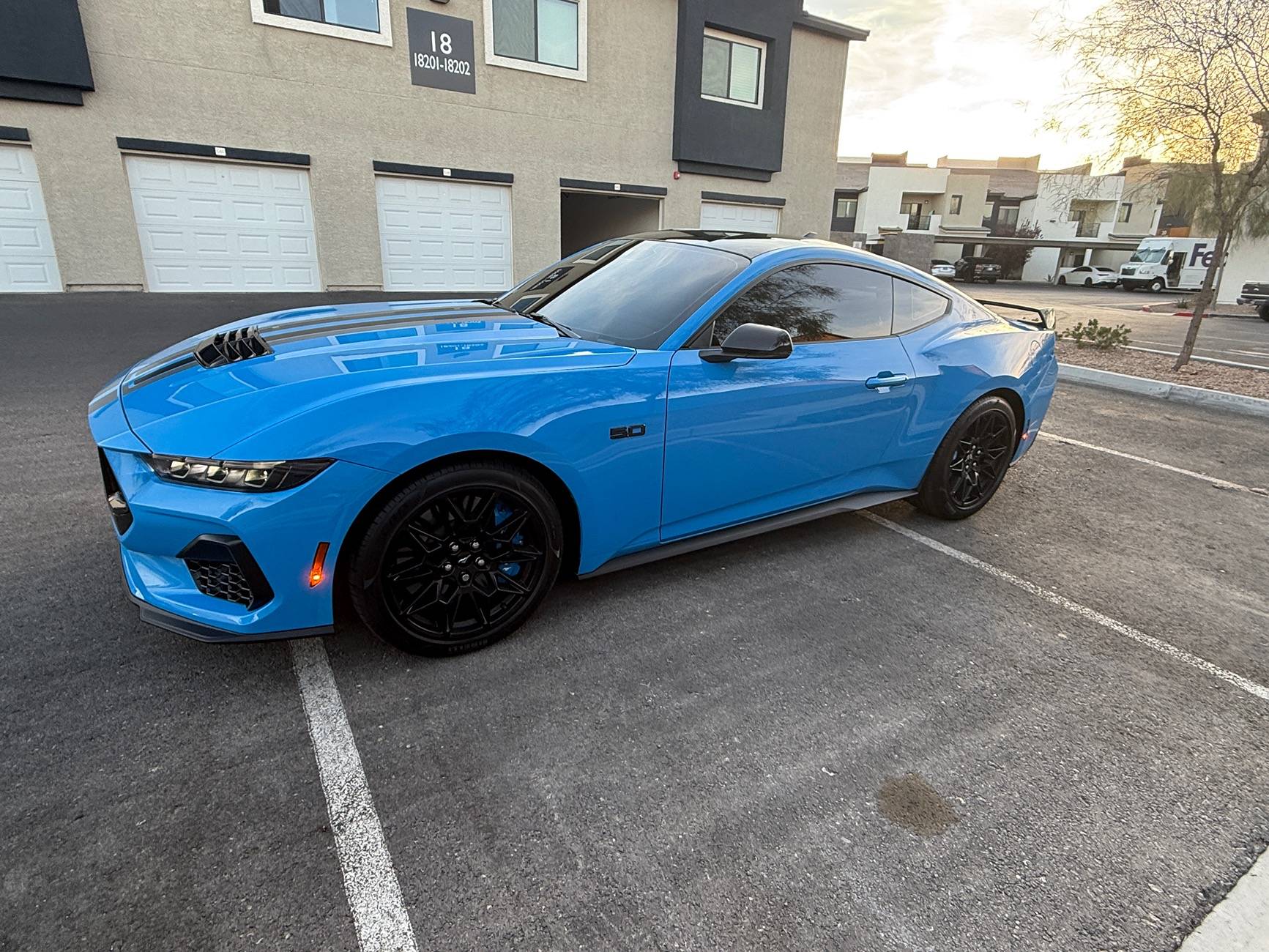 S650 Mustang Official GRABBER BLUE Mustang S650 Thread IMG_0818