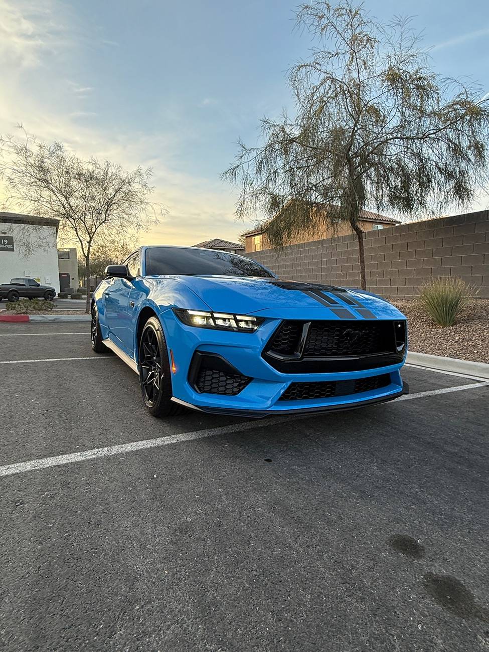 S650 Mustang Official GRABBER BLUE Mustang S650 Thread IMG_0813