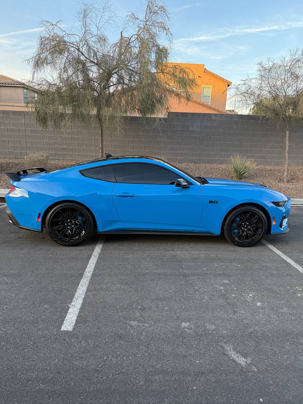 S650 Mustang Official GRABBER BLUE Mustang S650 Thread IMG_0810