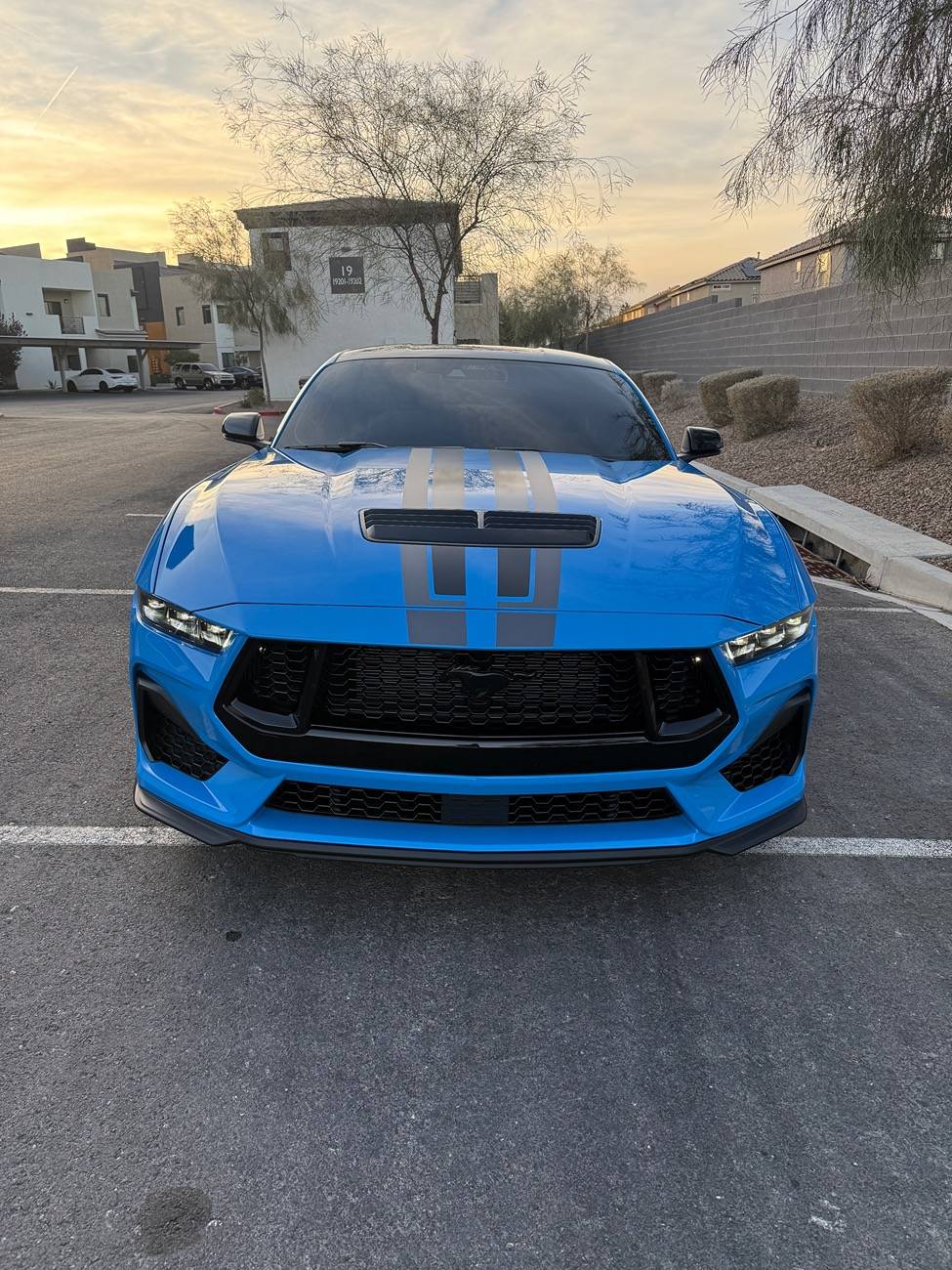 S650 Mustang Official GRABBER BLUE Mustang S650 Thread IMG_0823