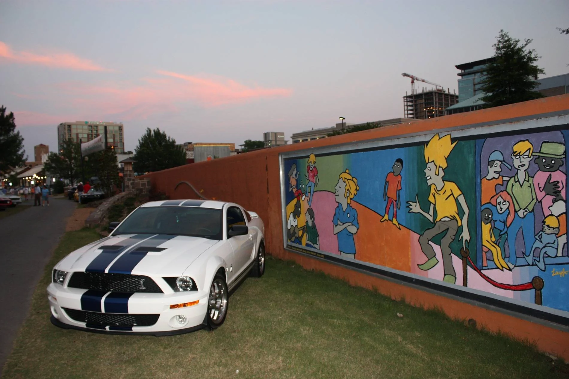 S650 Mustang Ford has no clue who their customers our IMG_0087