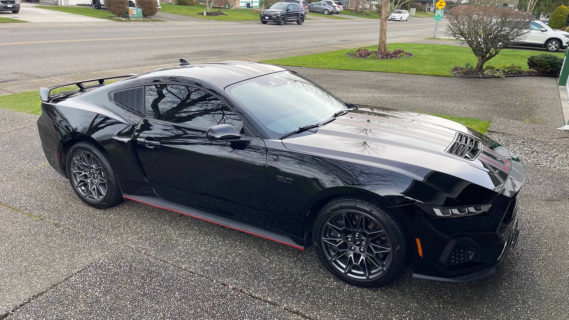S650 Mustang Pinstripes on stock side skirts IMG_4464