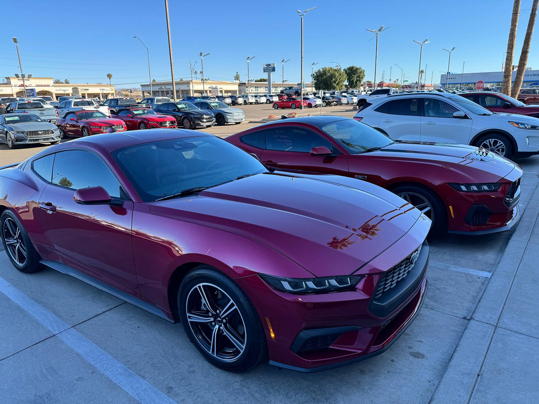 S650 Mustang Any Molten Magenta cars spotted yet? IMG_5545.JPG