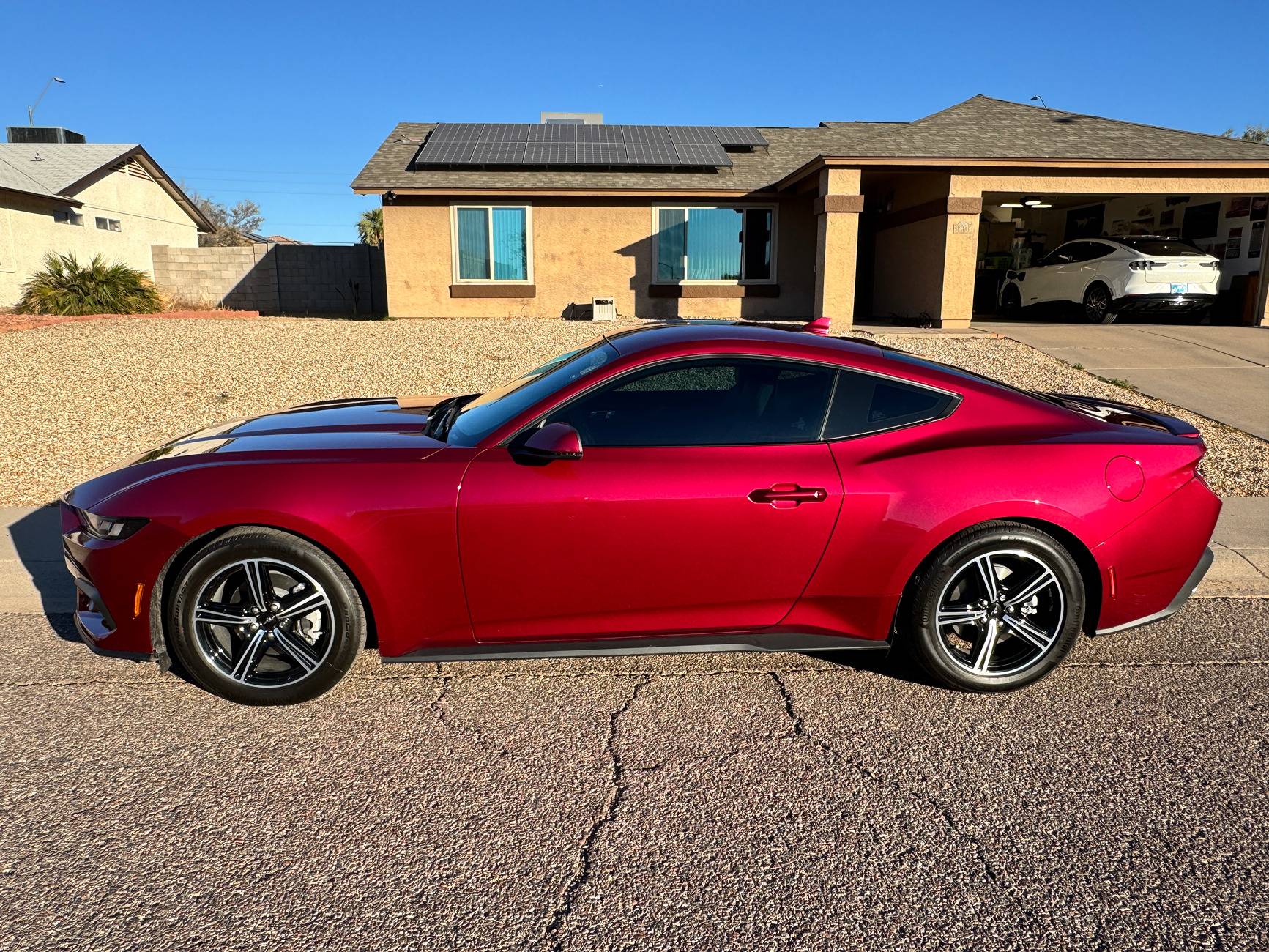 S650 Mustang Any Molten Magenta cars spotted yet? IMG_5561.JPG