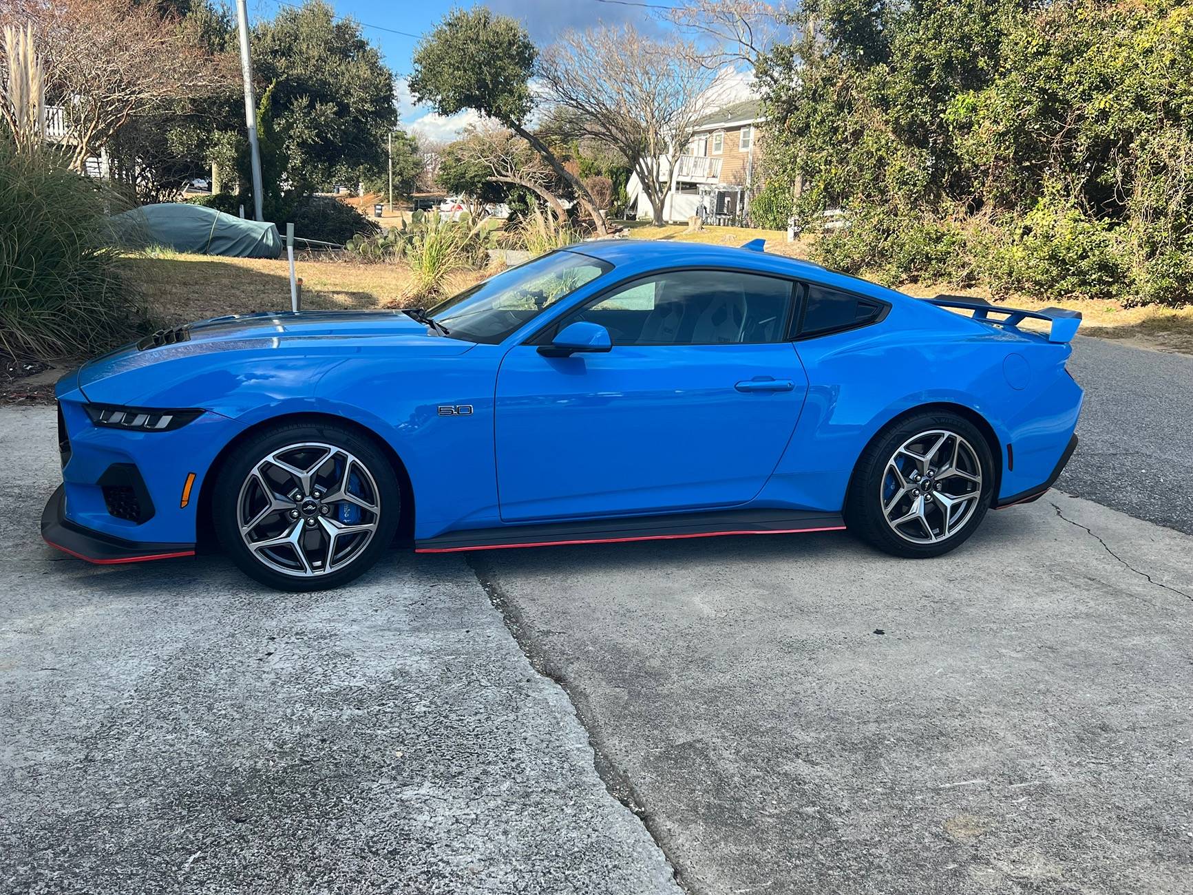 S650 Mustang Pinstripes on stock side skirts IMG_1058