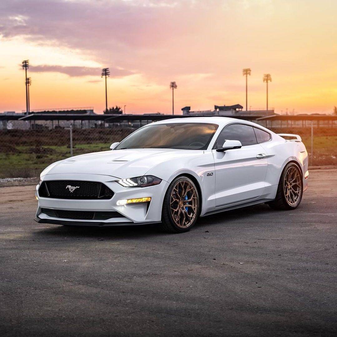S650 Mustang Authorize Dealer Stance: Rotary Forged SF Series Wheels For Mustang S650 436381918_827440899420672_3838258949702255654_n