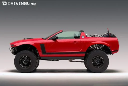 S650 Mustang How do we save the mustang? 1737218247602-9c