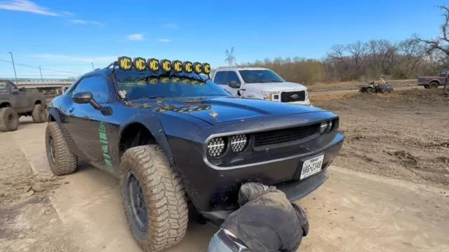 S650 Mustang How do we save the mustang? 1737219506406-ik