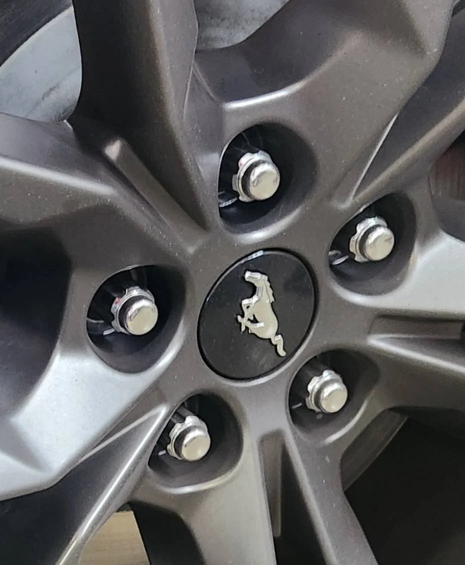 S650 Mustang Do these rear DH wheel locks look right to you? 20250121_112523