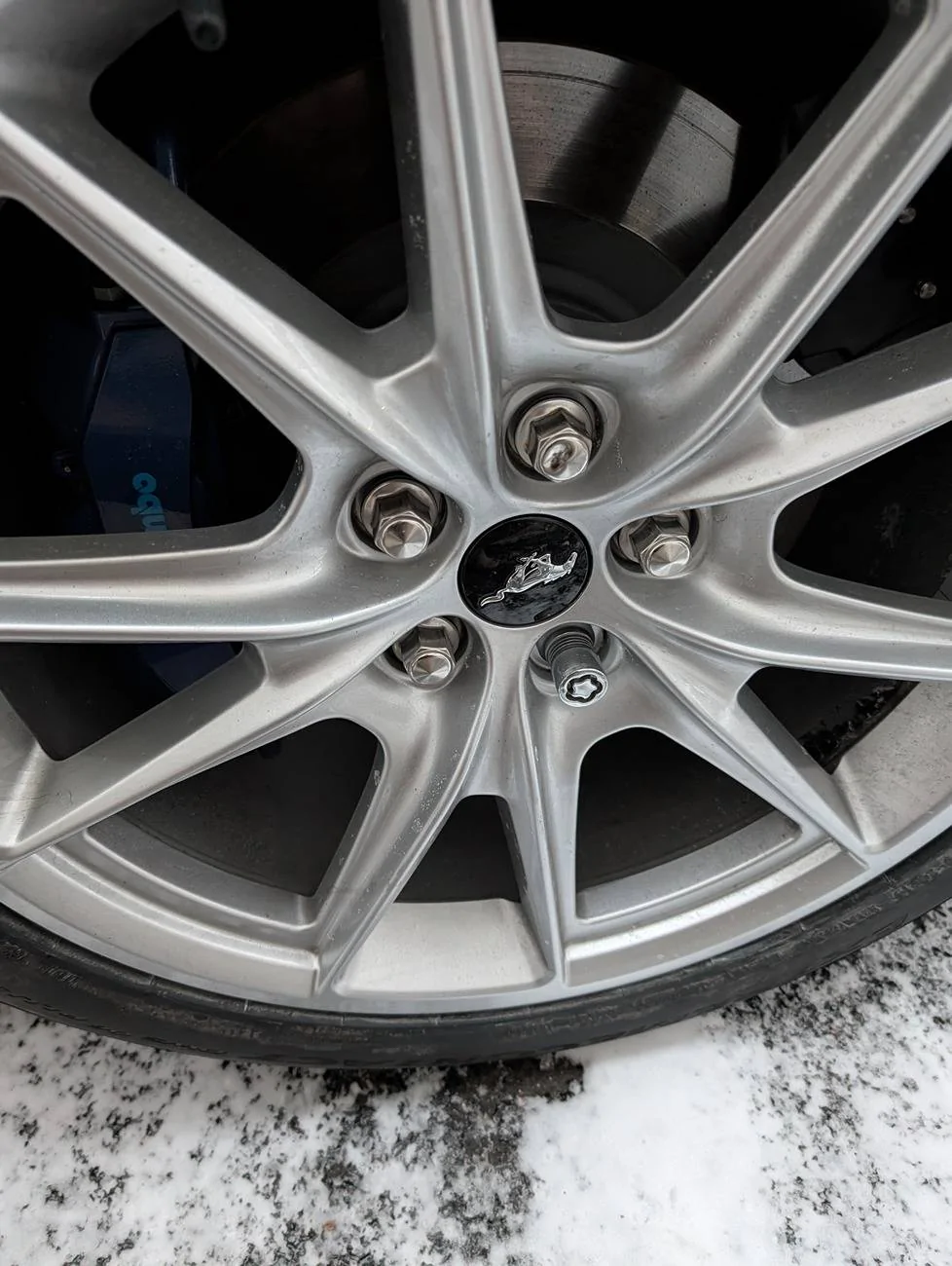 S650 Mustang Do these rear DH wheel locks look right to you? PXL_20250121_215832967