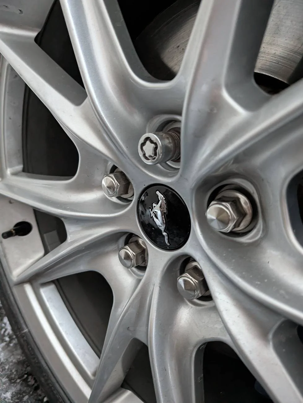 S650 Mustang Do these rear DH wheel locks look right to you? PXL_20250121_215817057