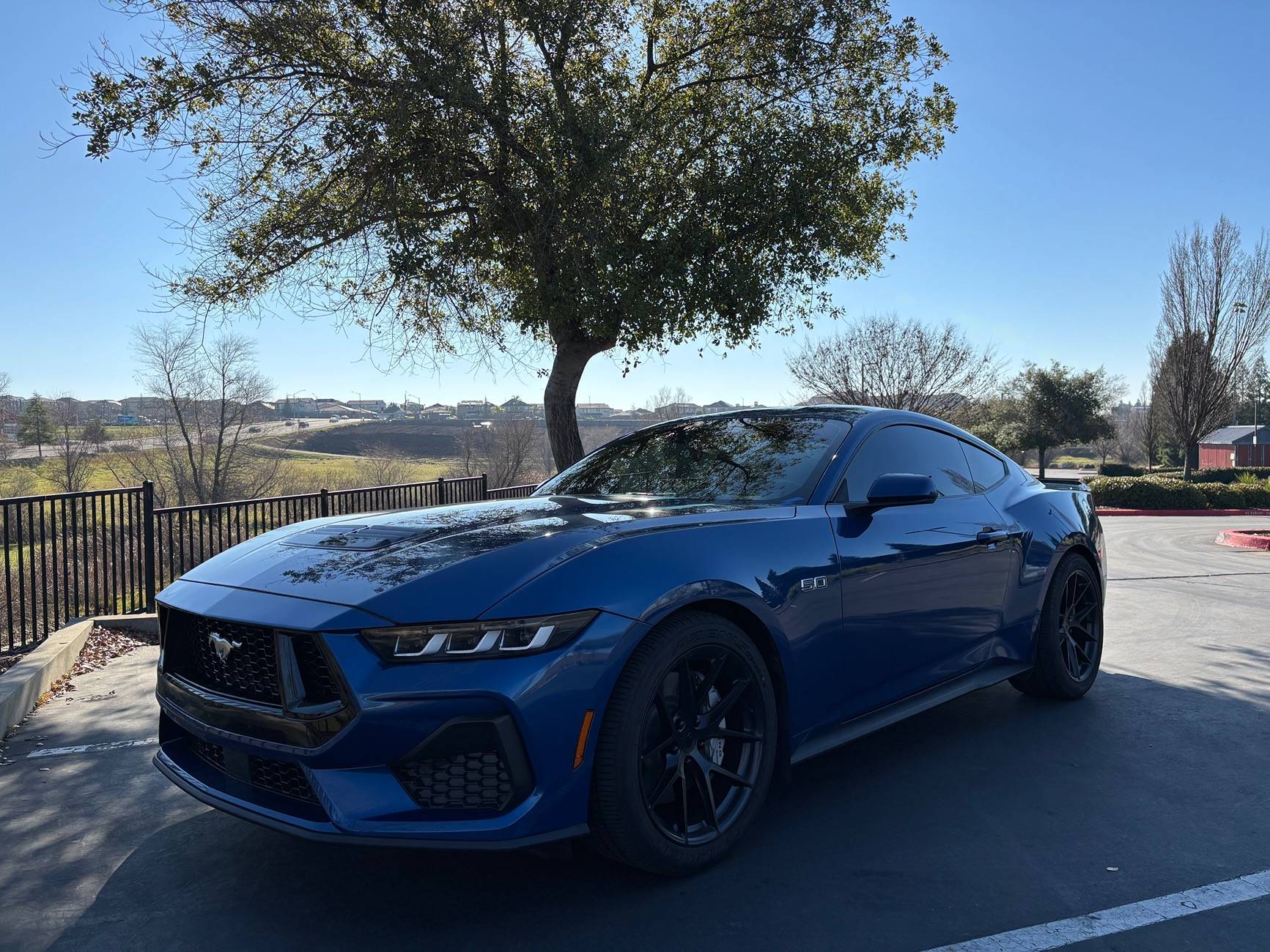 S650 Mustang Blue Lightning IMG_2331