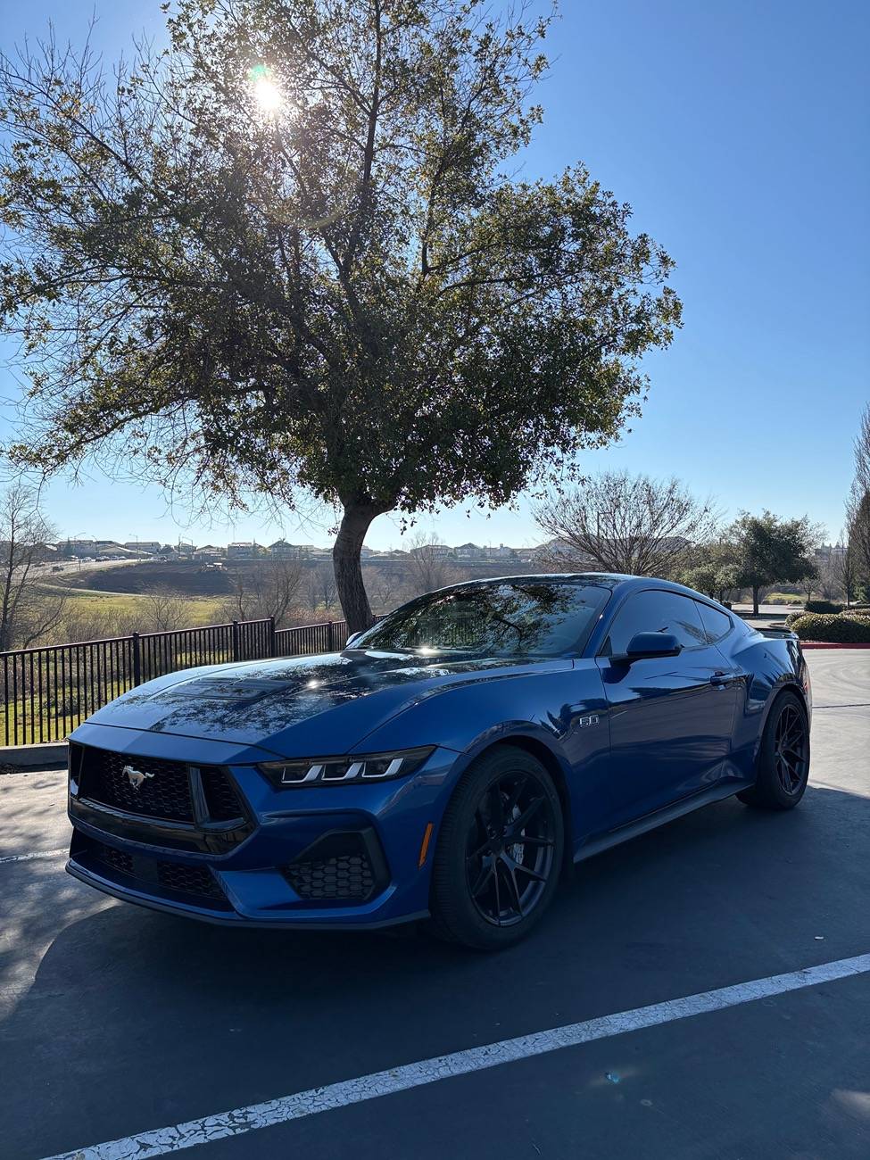 S650 Mustang Blue Lightning IMG_2332