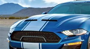 S650 Mustang Shelby American shows off GT350 and GT350R at Barret Jackon - well kind of IMG_3066