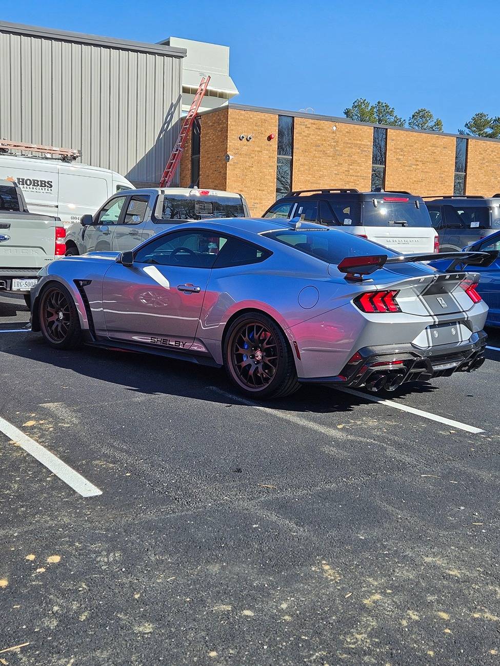 S650 Mustang New Shelby Super Snake in Silver w/bronze rims 1000008106