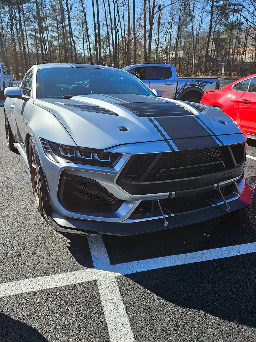 S650 Mustang New Shelby Super Snake in Silver w/bronze rims 1000008107