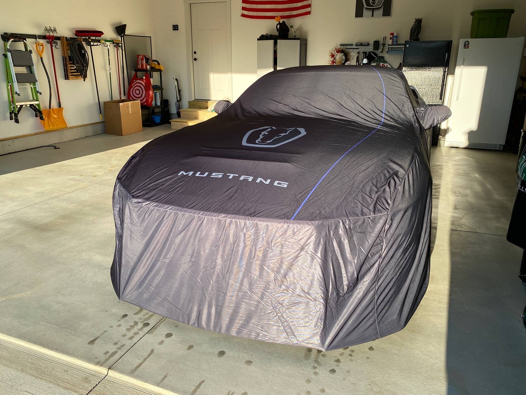 S650 Mustang Shhhhh. She's sleeping. Mustang car cover IMG_2598