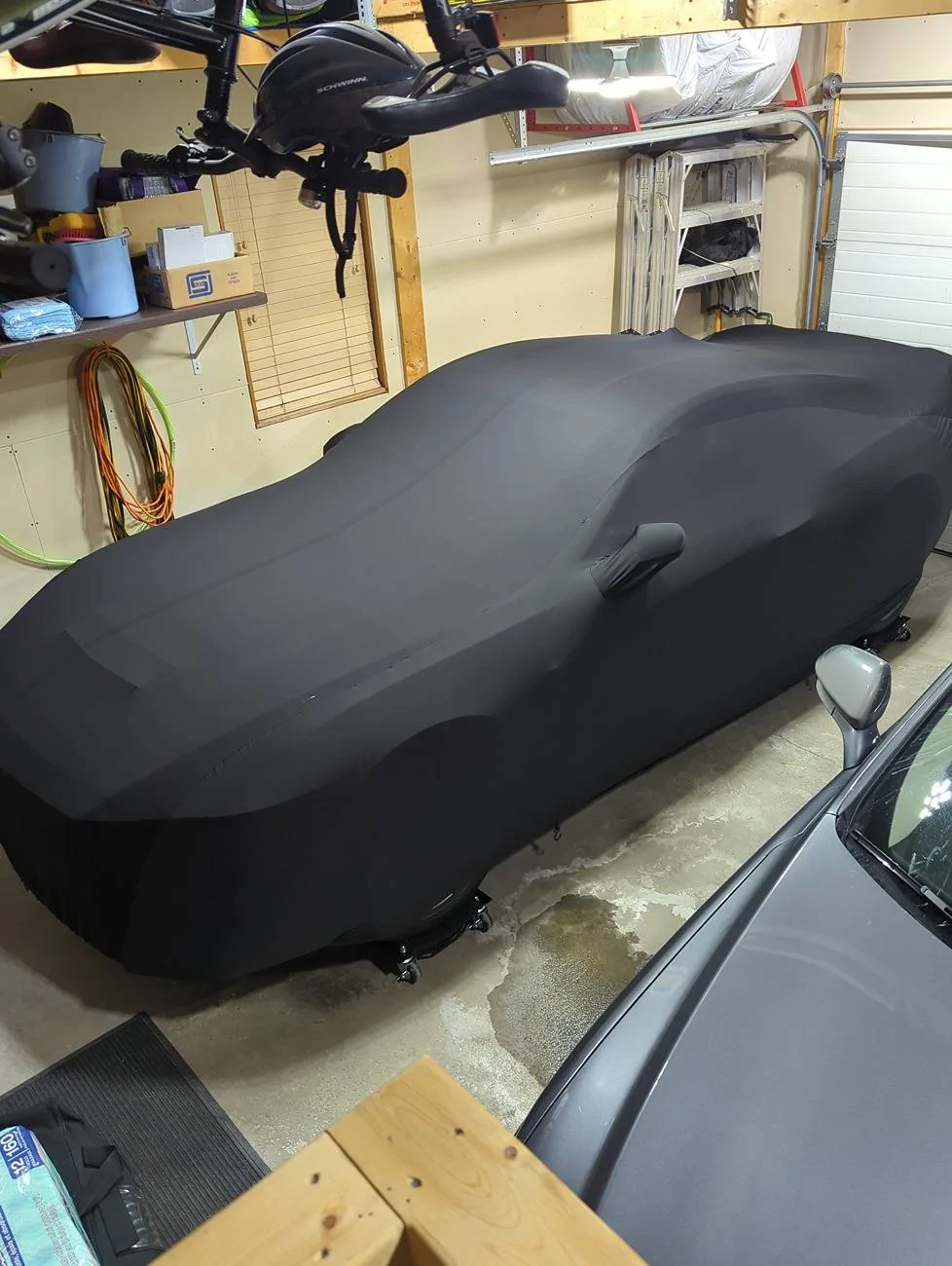 S650 Mustang Shhhhh. She's sleeping. Mustang car cover ff514b5b-38b5-42e0-9343-1a04e18b6c6