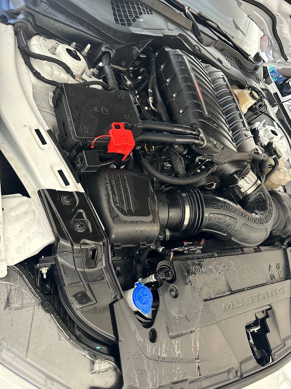 S650 Mustang Heater Core Hose Issue IMG_8987
