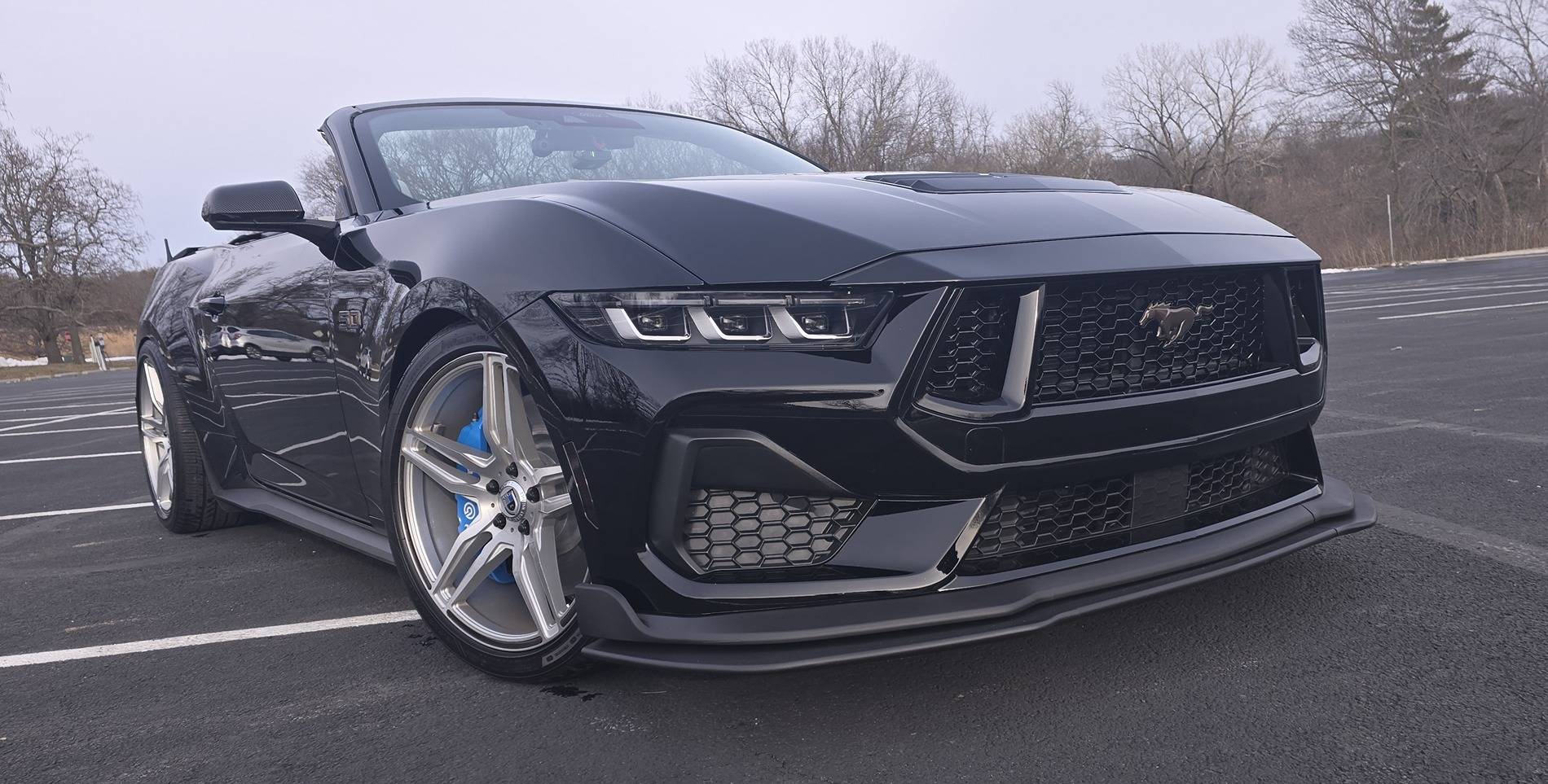 S650 Mustang Official SHADOW BLACK Mustang S650 Thread 20250125_154031v2.JPG
