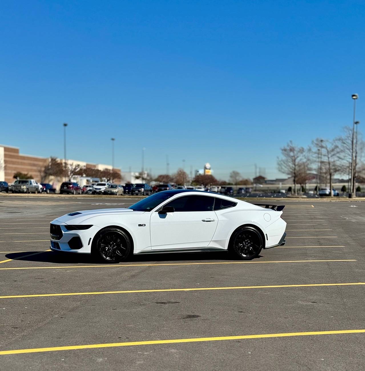 S650 Mustang What did you do to your S650 Mustang today?? 🙋🏻‍♂️ IMG_4673