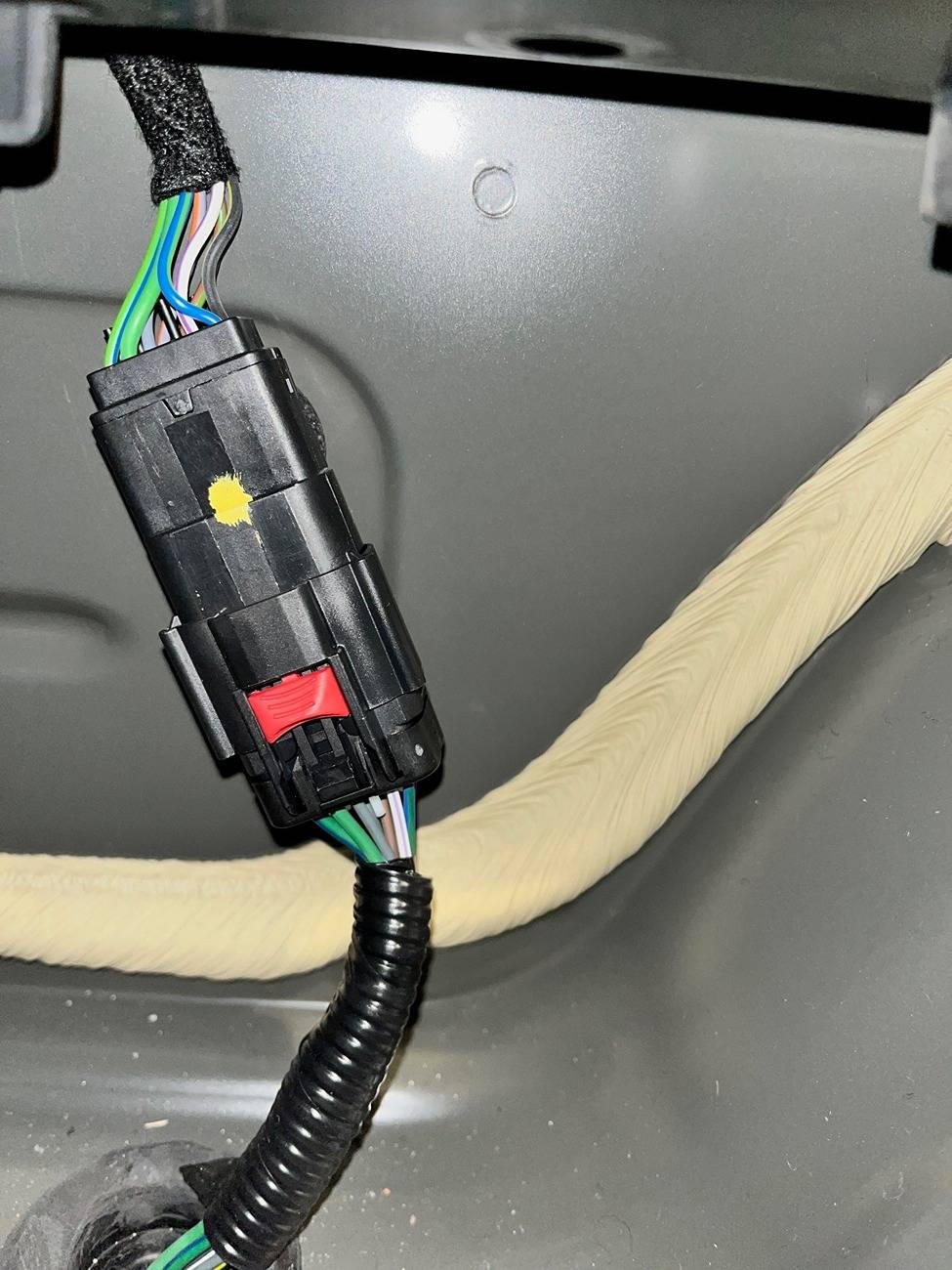 Trunk 1.jpg