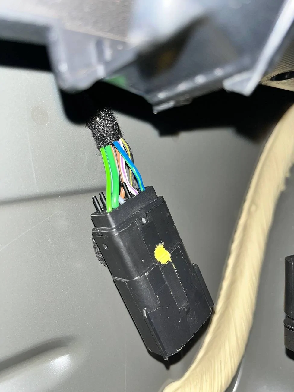 Trunk 3.webp