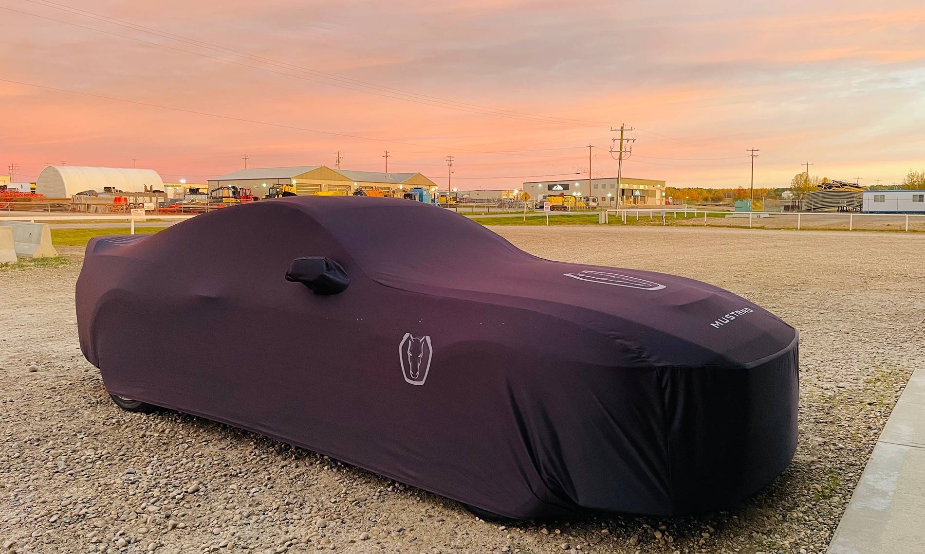 S650 Mustang Shhhhh. She's sleeping. Mustang car cover 1F3BB424-916E-405D-8700-9C47E0848A2A