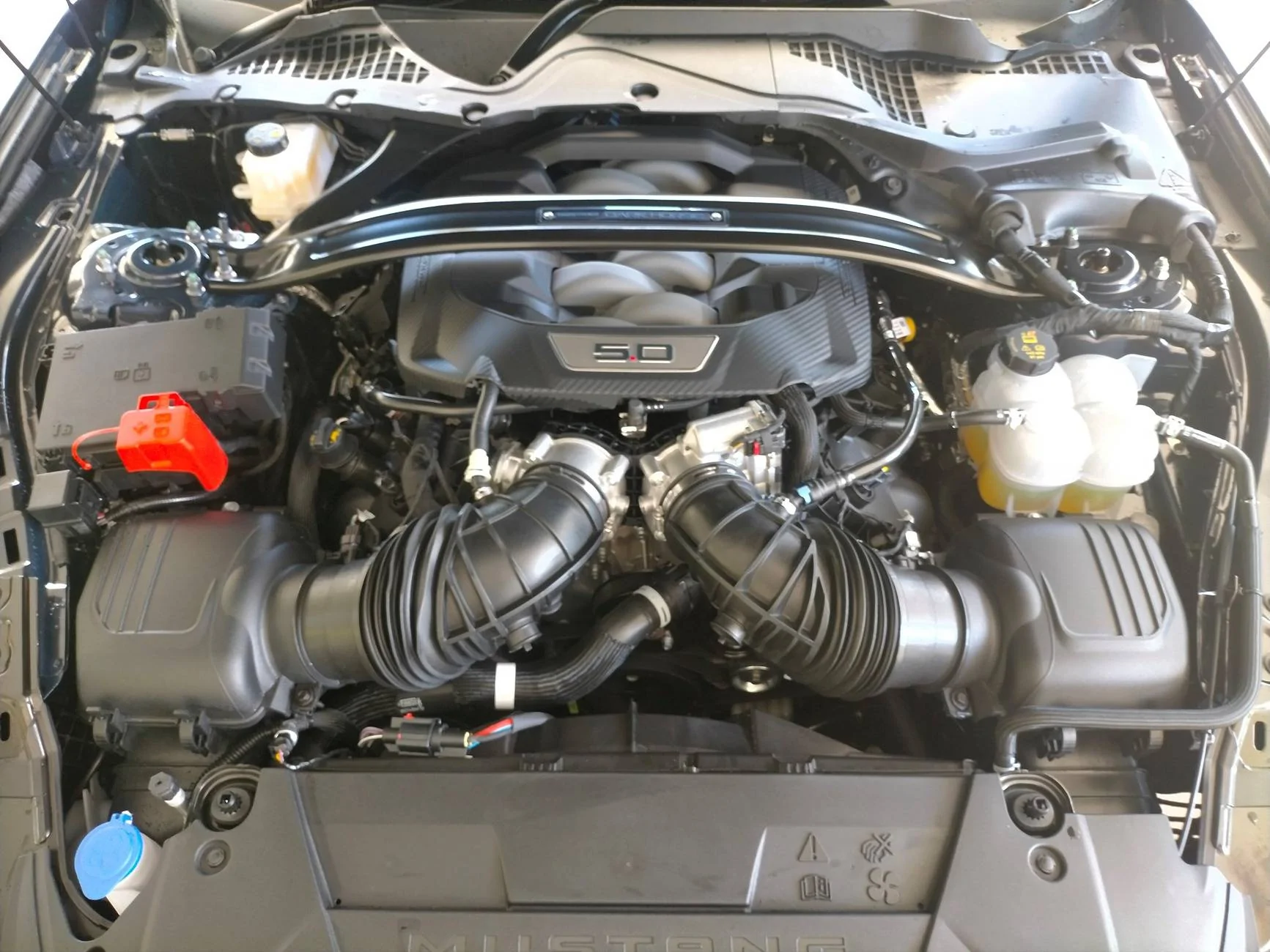 S650 Mustang Aussie S650 Paint protection and detailing thread dh3