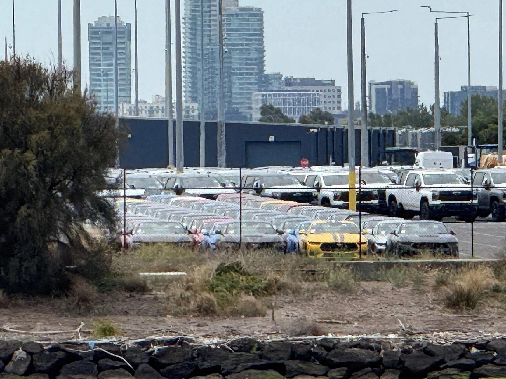 S650 Mustang Mustang delivery to Australia 2024/2025 (Tortugas / Tosca) Mustangs at Port of Melb 2.2.25
