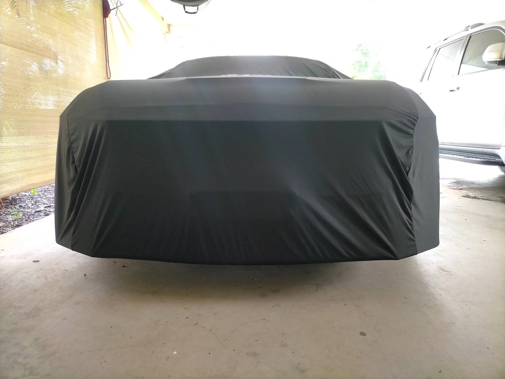 S650 Mustang Aussie S650 Paint protection and detailing thread IMG20250205073747